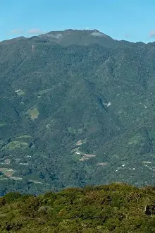 Tree Area Prints: The Barú volcano is the highest elevation in Panama and one of the highest in Central America