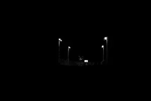 Basketball Court Prints: basketball court at night