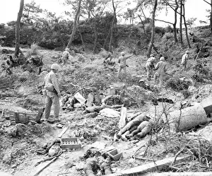 Okinawa Prints: The Battle of Okinawa, codenamed Operation Iceberg
