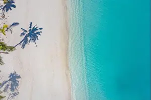 Beach with beautiful coastline. Amazing aerial drone view summer landscape. Color water is turquoise, white sand and palm trees shadows, sunny nature