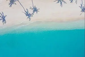 Beach with beautiful coastline. Amazing aerial drone view summer landscape. Color water is turquoise, white sand and palm trees shadows, sunny nature