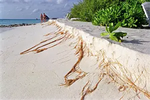 Halt Prints: Beach erosion in The Maldives