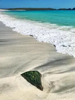 Galapagos Islands Prints: Beach on Espanola, Galápagos Islands