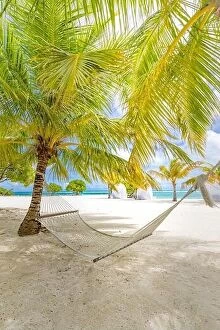 Images Dated 26th May 2019: Beach hammock between palms trees cloudy sky, ocean. Sunny paradise beach with palm trees