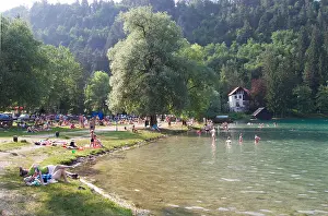 Baden Prints: Beach at Lake Bled Slovenia