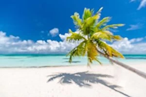 Images Dated 8th May 2018: Beach landscape background with blurred sea and coconut tree background under blue sky