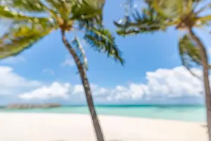 Beach landscape background with blurred sea and coconut tree background under blue sky. Exotic idyllic beach, tropical island blurred landscape