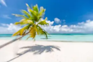 Beach landscape background with blurred sea and coconut tree background under blue sky. Exotic idyllic beach, tropical island blurred landscape