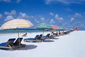 Parasols Prints: Beach Longboat Key Sarasota Florida United States of America Us A North America