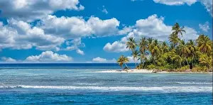 Paradise Beach Prints: Beach nature concept. Palm beach in tropical idyllic paradise island