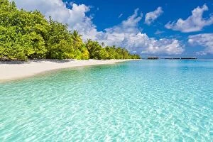 Images Dated 21st December 2015: Beach nature, landscape of Maldives with blue sea, blue sky and palm trees on white sand