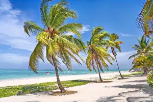 Sea Shore Prints: Beach near Pingwe, Zanzibar, Tanzania, East Africa