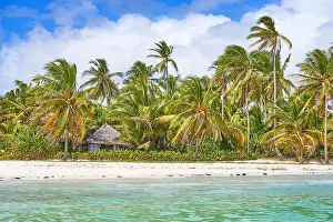 Beach near Pingwe, Zanzibar, Tanzania, East Africa