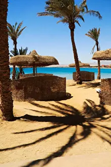 Red Sea Prints: A beach and palm trees at the Red Sea resort of Sentido Palm Royale at Soma Bay near to Hurghada