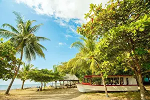Palm Beach Prints: On the beach of Playa Tarcoles Costa Rica