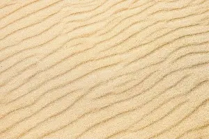 Beach sand background. Nature texture, top view, copy space for text
