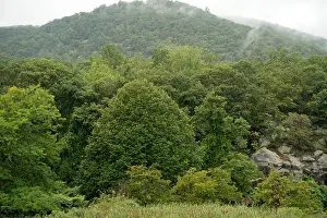 New York State Prints: Bear Mountain State Park on the west side of the Hudson River on a misty
