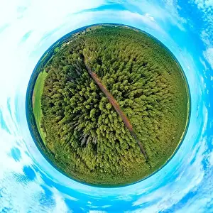 Bark Beetle Prints: Beautiful 360 panoramic little planet aerial drone view to Bialowieza Forest - one of the last