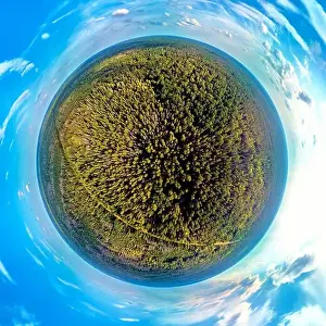 Beautiful 360 panoramic little planet aerial drone view to Bialowieza Forest - one of the last