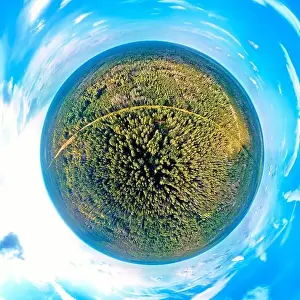 Beautiful 360 panoramic little planet aerial drone view to Bialowieza Forest - one of the last
