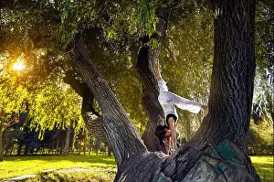 Flexible Prints: Beautiful Asian girl in white costume doing yoga on the big tree in the park
