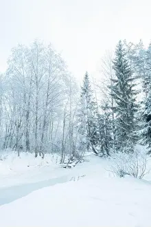 Hoar Prints: Beautiful atmospheric winter landscape