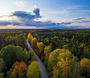 Hight Prints: Beautiful autumn landscape. View of forest and road from above. Latvian nature