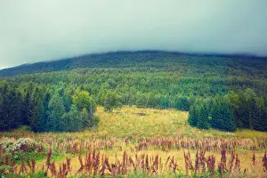 Mountainside Prints: Beautiful autumn nature of Norway