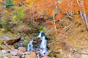 Stone Stream Prints: Beautiful autumn. Red beech leaves on stones with stream of mountain waterfall in background