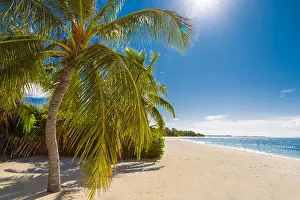 Beach Landscape Prints: Beautiful beach background sun rays and palm trees on sandy beach