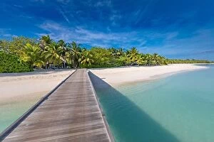 Images Dated 1st June 2019: Beautiful beach in Maldives. Long jetty vacations and tourism concept
