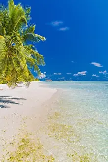 Beautiful beach in Maldives. Summer holiday travel concept