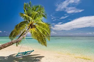 Beautiful beach palm trees, moody sky. Summer vacation travel holiday background concept. Maldives exotic paradise beach. Luxury travel summer holiday