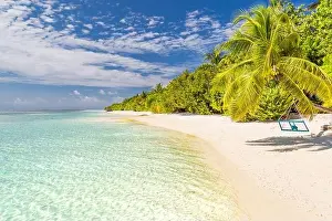 Beautiful beach palm trees, moody sky. Summer vacation travel holiday background concept. Maldives exotic paradise beach. Luxury travel summer holiday