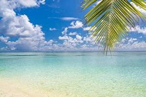 Images Dated 21st December 2015: Beautiful beach with palm trees and moody sky. Summer vacation travel holiday background concept