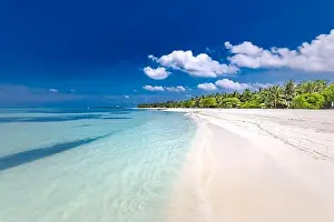 Beautiful beach with palm trees on tropical island beach on background blue sky with white clouds and turquoise ocean on sunny day. Exotic beach scene