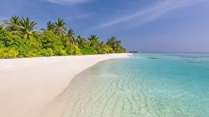 Beautiful beach with palm trees on tropical island beach on background blue sky with white clouds and turquoise ocean on sunny day. Exotic beach scene