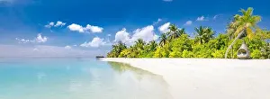 Beautiful beach with palm trees on tropical island beach on background blue sky with white clouds and turquoise ocean on sunny day. Exotic beach scene