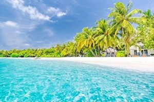 Images Dated 3rd May 2018: Beautiful beach resort, coast, shore with white sand and palm trees