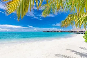 Beautiful beach and tropical sea. Wonderful beach nature, Maldives scenery, perfect view of exotic landscape, white sand and blue sky. Luxury resort