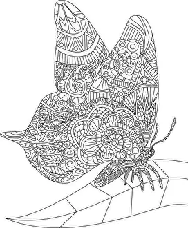 Art Product Prints: Beautiful Butterfly Resting On A Single Leaf Spreading Wings Colorless Line Drawing
