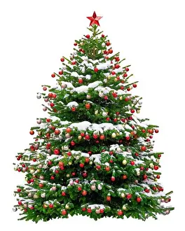 Bauble Prints: Beautiful Christmas tree decorated with red balls