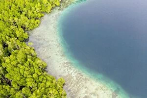 Aerial Landscape Collection: A beautiful coral reef grows along the edge of a mangrove in Raja Ampat, Indonesia