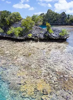 A beautiful coral reef surrounds a small island amid the tropical seascape in Raja Ampat, Indonesia. This remote region is known for its biodiversity