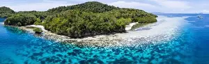 Beautiful coral reefs fringe remote limestone islands in Raja Ampat, Indonesia. The reefs here are home to the world's greatest marine biodiversity