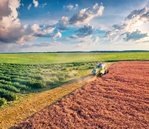 Harvester Prints: Beautiful countryside scenery. Combine harvester on the field of wheat
