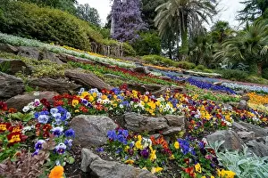 Beautiful garden with flowers in Tremezzo - Como lake in Italy