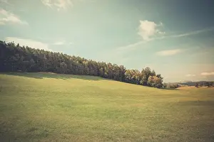 Beautiful green grass meadow field and forest background under blue sky, idyllic landscape. Nature background