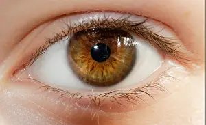 Amazing View Prints: A beautiful hazel eye close up looking into the camera