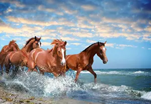 Mane Prints: Beautiful horses running on beach through sea water